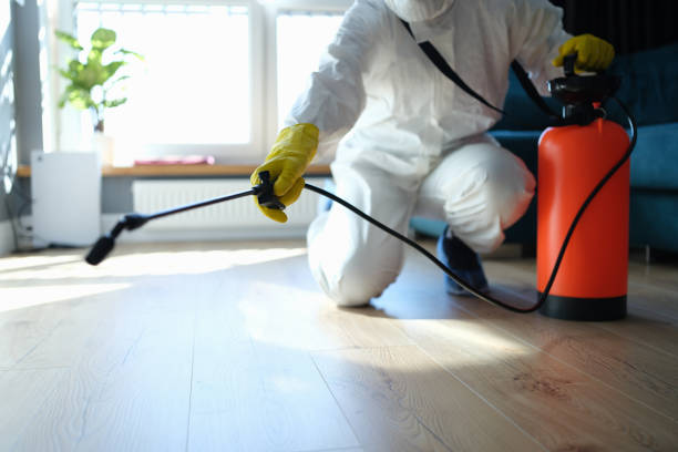 Reliable Odor Removal contractor in Bethel, WA by Trauma Clean Pros